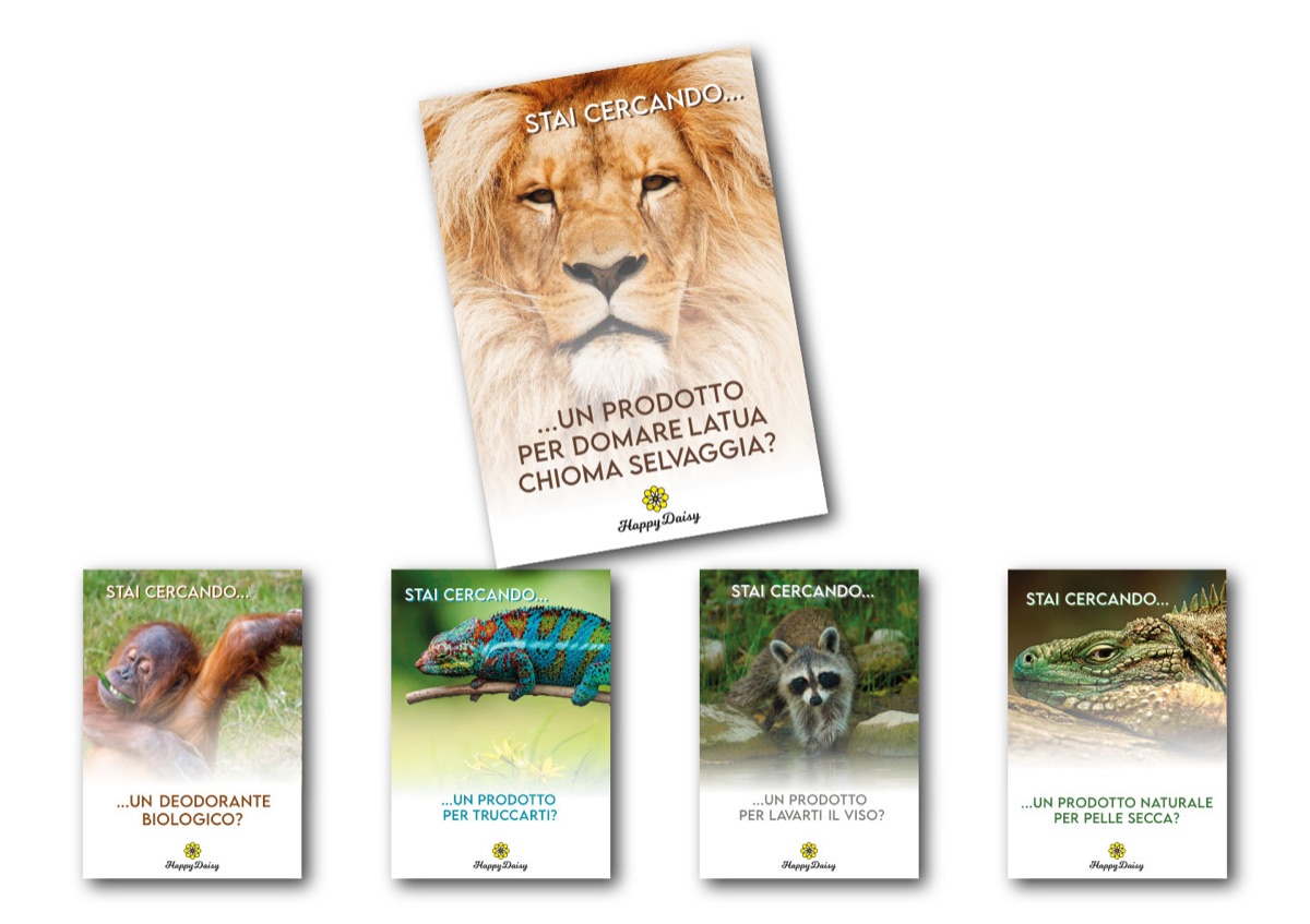 Campagna promozionale Happy Daisy Stai cercando