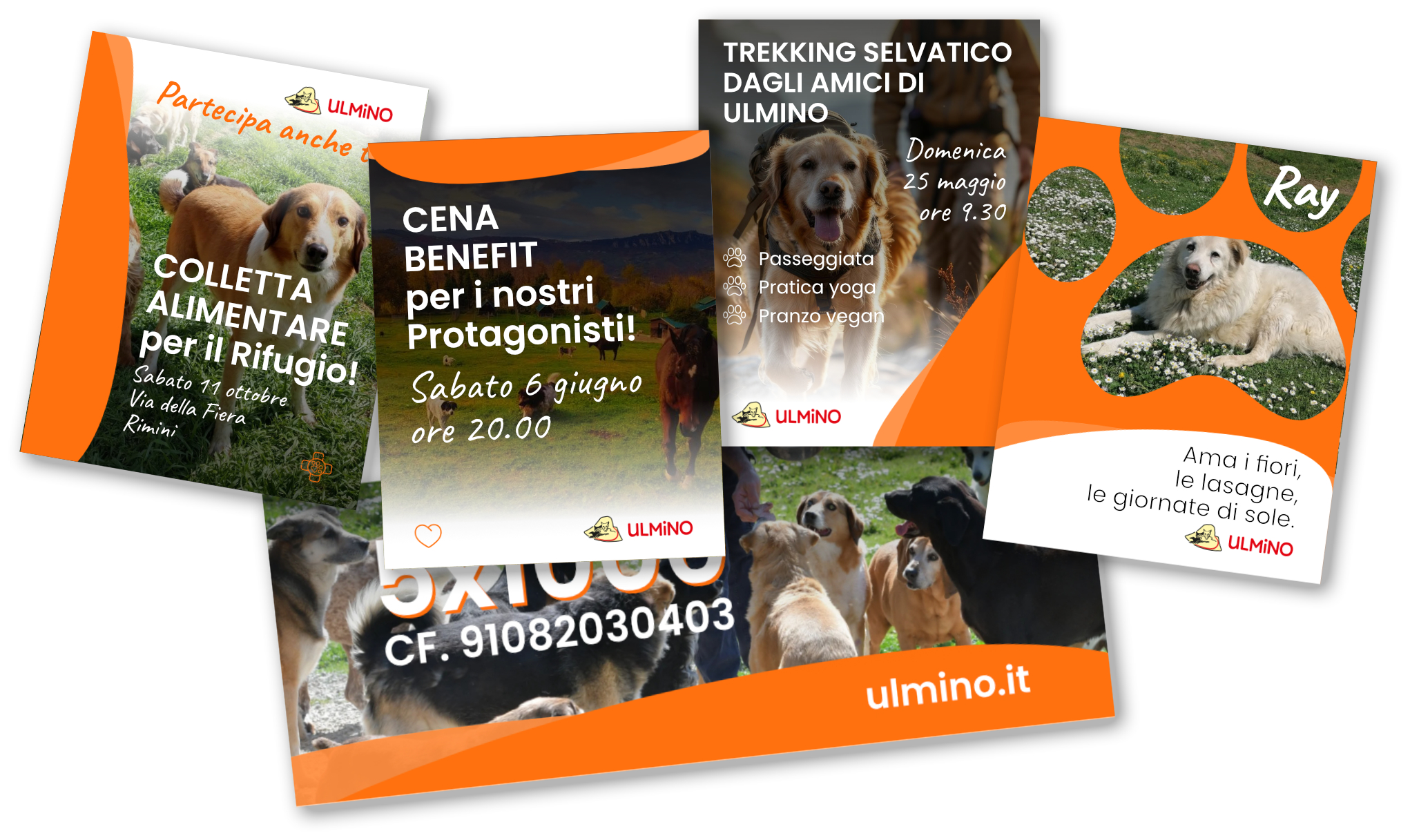 Materiali social del Rifugio di Ulmino